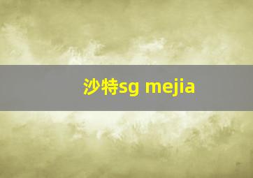 沙特sg mejia